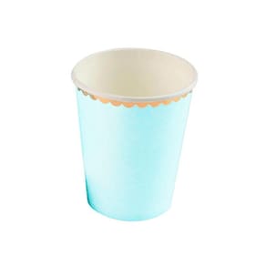 Kit 10 Copos 270Ml Descartáveis De Luxo Papel Branco E Azul