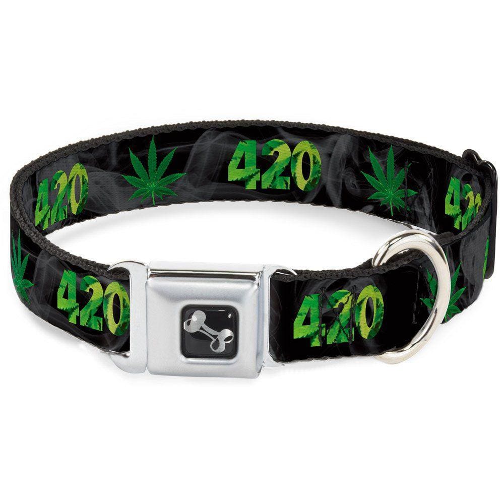 Coleira para cães Buckle-Down 420 Pot Leaf preta