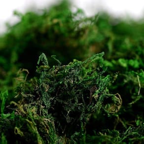 Musgo artificial para artesanato Farmoo Fake Moss for Potte