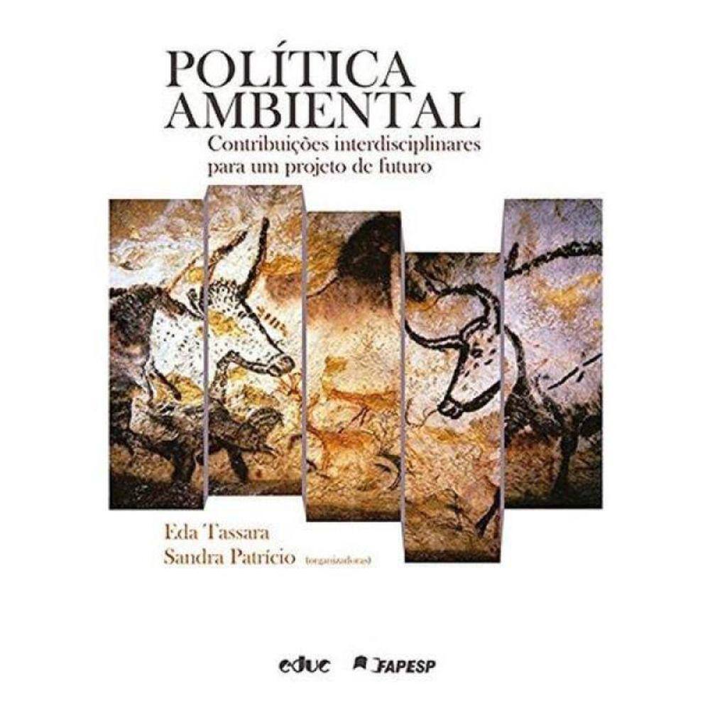 Politica Ambiental