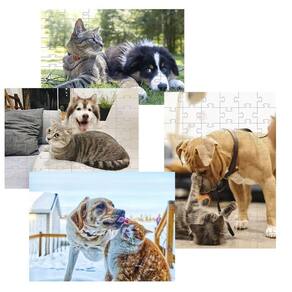 Kit 2 Quebra-Cabeças Atividades Mente Cães E Gatos 40 Peças