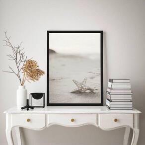 Quadro Decorativo Estrela Do Mar Branca 33X24Cm - Com Vidro