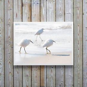 Quadro Decorativo Minimalista- Passarinhos Brancos 33X24Cm