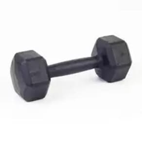 Par Halter Sextavado Ferro 10Kg