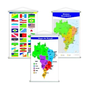 Mapa Brasil + Bandeiras + Biomas Kit 3 Banners Grandes
