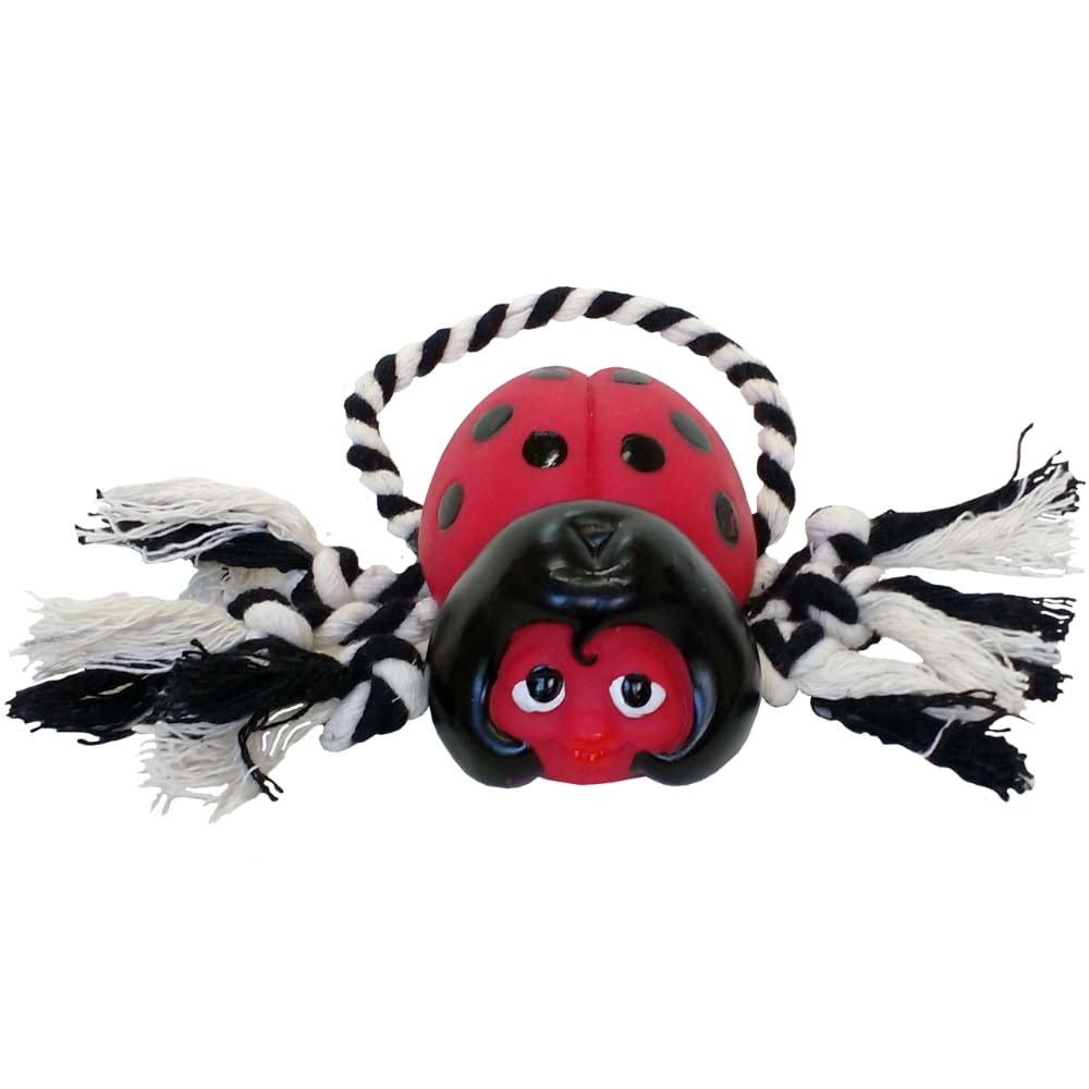 Brinquedo Pet Joaninha com Corda