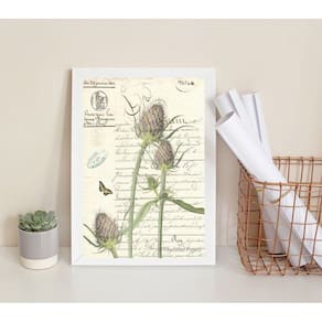 Quadro Decorativo Vintage Botânica 33x24cm Moldura Preta