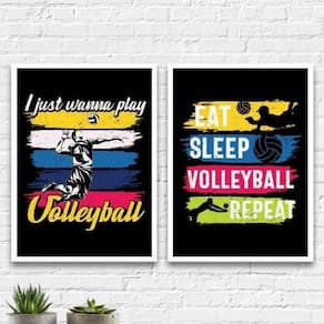 Kit 2 Quadros Volleyball Vintage 33X24Cm Branca