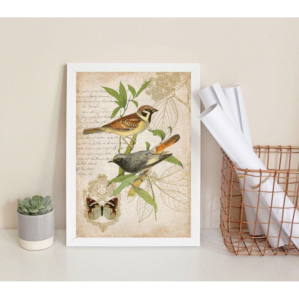 Quadro Pássaros Vintage Botânica 45x34cm - Madeira Branca