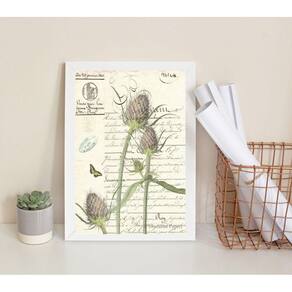 Quadro Decorativo Vintage Botânica 45x34cm - Madeira Preta
