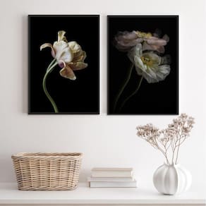 Kit 2 Quadros Flores Bege/Fundo Preto 24x18cm - Madeira Preta