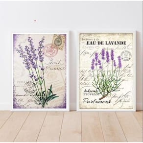 Kit 2 Quadros Lavanda Vintage 33x24cm - Moldura Preta