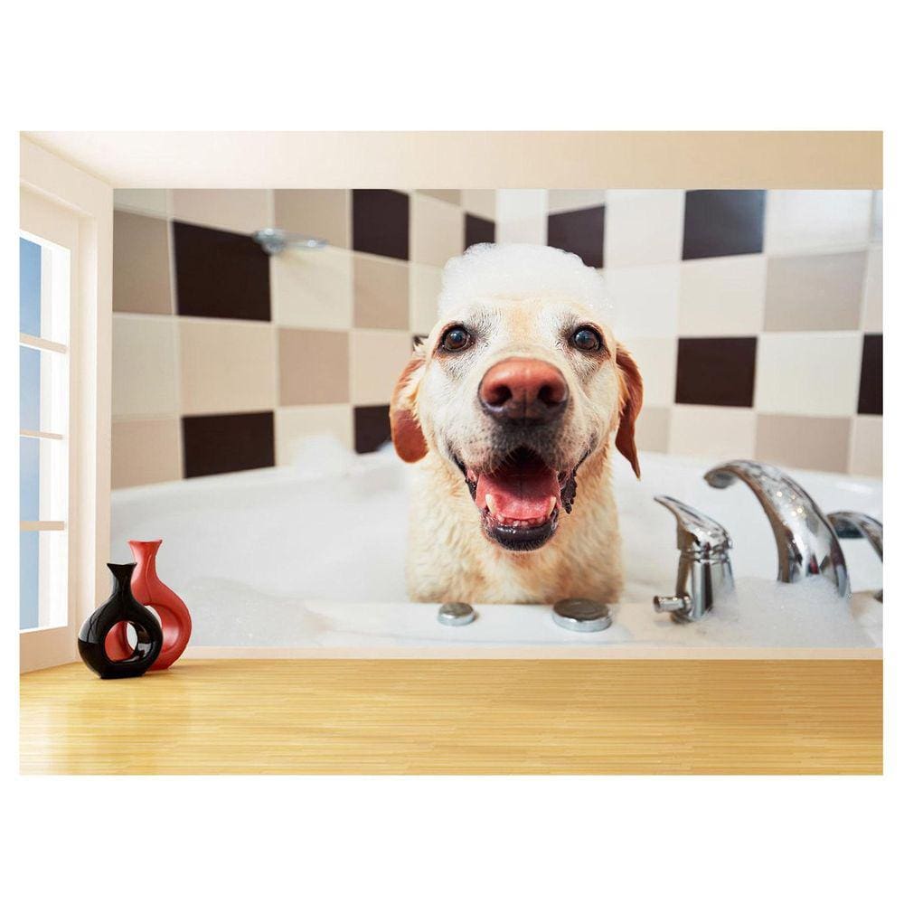 Papel De Parede Animal Cão Petshop Banho Tosa 3,5M Anm401