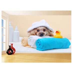 Papel De Parede Animal Cão Petshop Banho Tosa 3,5M Anm378