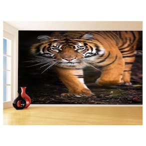 Papel De Parede Animais Tigre Campo Sol Andar 3,5M Anm564