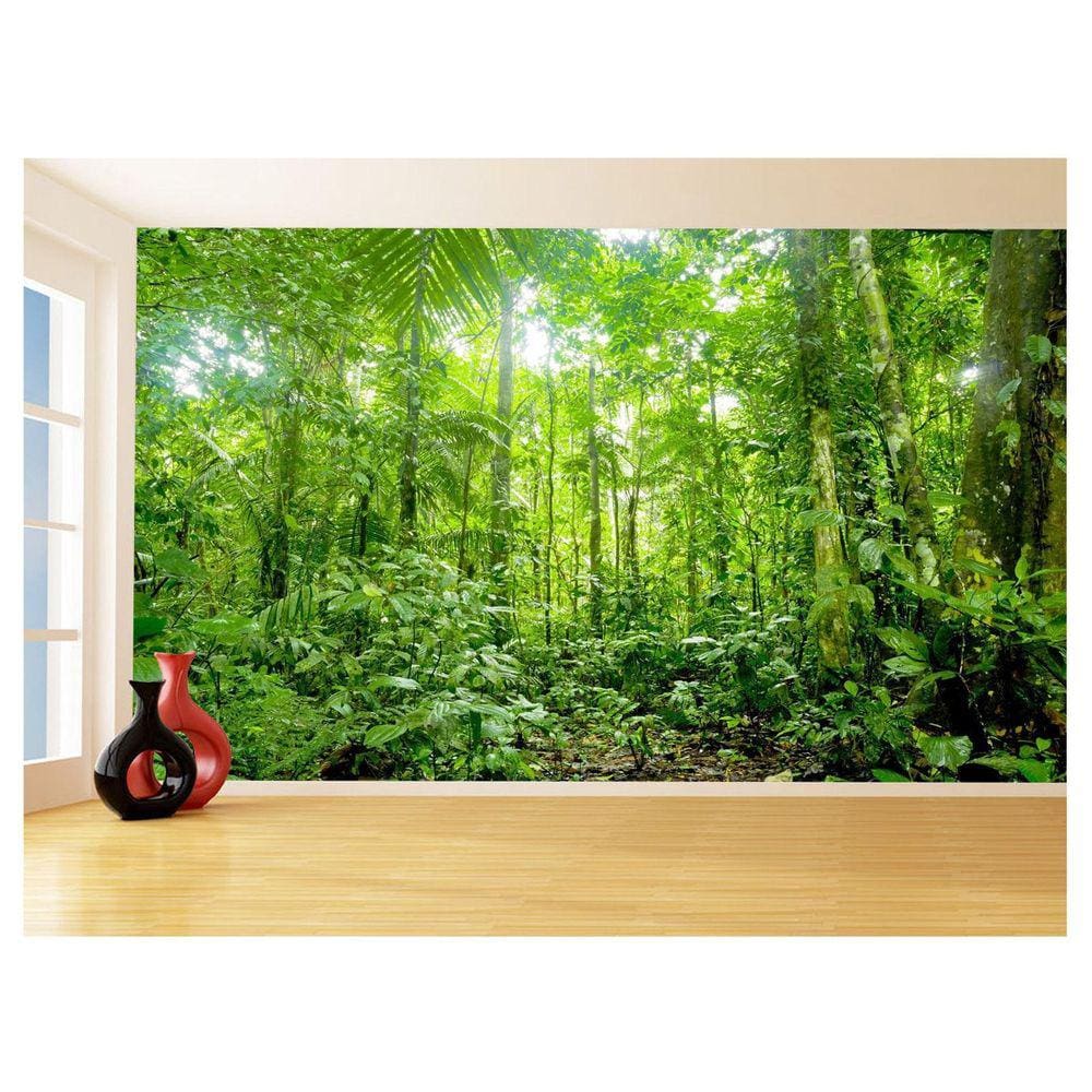 Papel De Parede Floresta Tropical Caminho Luz 3,5M Xna223