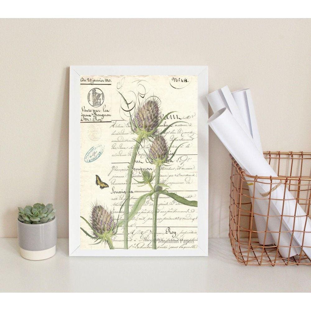 Quadro Decorativo Vintage Retrô Botânica 45x34cm - Vidro e Moldura Branca