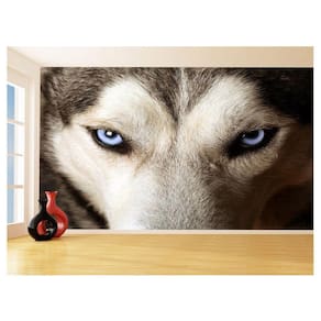Papel De Parede 3D Animais Lobo Olho Azul Rosto 3,5M Anm577
