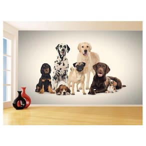 Papel De Parede 3D Animais Cão Gato Petshop 3,5M Anm419