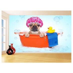 Papel De Parede Animal Cão Petshop Banho Tosa 3,5M Anm396