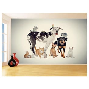 Papel De Parede 3D Animais Cão Gato Petshop 3,5M Anm413