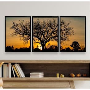 Kit 3 Quadros Paisagem Árvore 33x24cm Moldura Branca