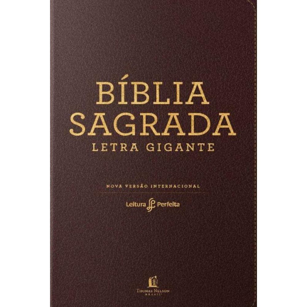 Biblia Sagrada - Leitura Perfeita - Capa Neutra
