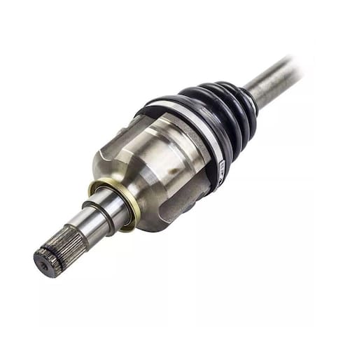 Rim barcha erotik sahnalar