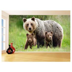 Papel De Parede 3D Animais Urso Dois Filhotes 3,5M Anm574