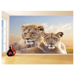 Papel De Parede 3D Animais Leão Família Casal 3,5M Anm507