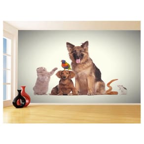 Papel De Parede 3D Animais Cão Gato Petshop 3,5M Anm424