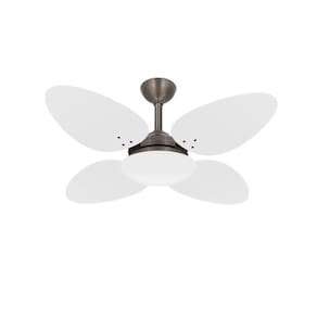 Ventilador De Teto Econômico 4 Pás Trevo Bronze Ventax 220V