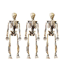 Varal Esqueleto Halloween 8pc 6m - Plástico Resistente
