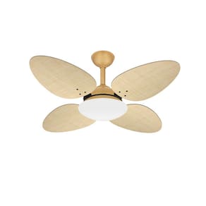 Ventilador Teto Sala 4 Pás Palha Dourado Trevo Ventax 220V