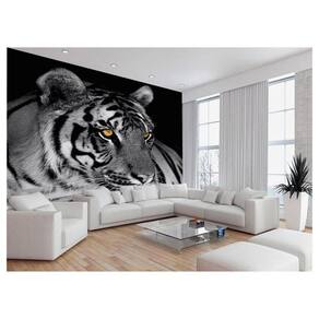 Papel De Parede 3D Animais Tigre Rosto Arte Cor 3,5M Anm568