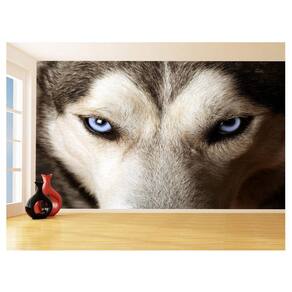 Papel De Parede 3D Animais Lobo Olho Azul Rosto 3,5M Anm577
