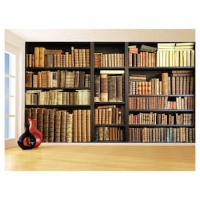 Papel De Parede 3D Estante De Livros Fundo Vídeo 3,5M Est10