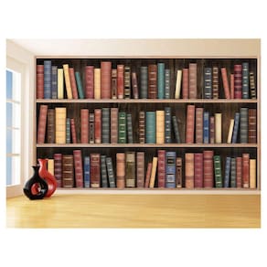 Papel De Parede 3D Estante De Livros Fundo Vídeo 3,5M Est11