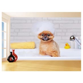 Papel De Parede Animal Cão Petshop Banho Tosa 3,5M Anm388
