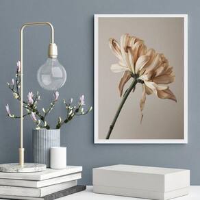 Quadro Decorativo Fotografia Flor- Tons Bege 24X18Cm