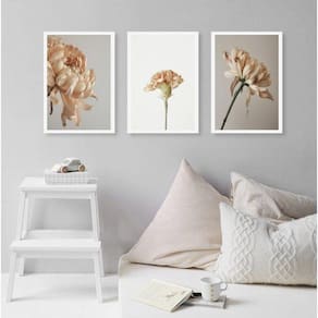 Kit 3 Quadros Decorativos Elegantes Flores Bege 33X24Cm