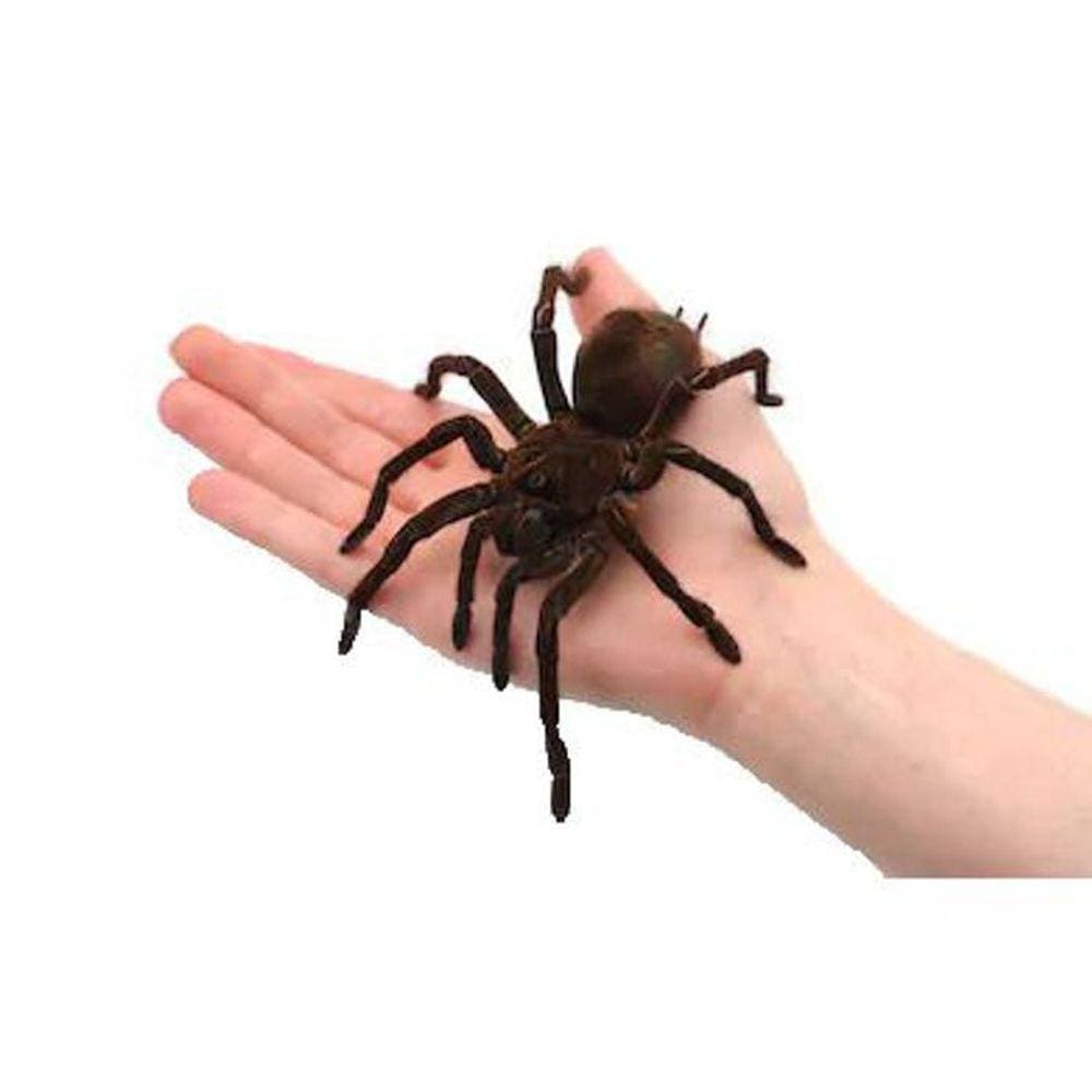 Aranha Na Mão - Magica The Web B+