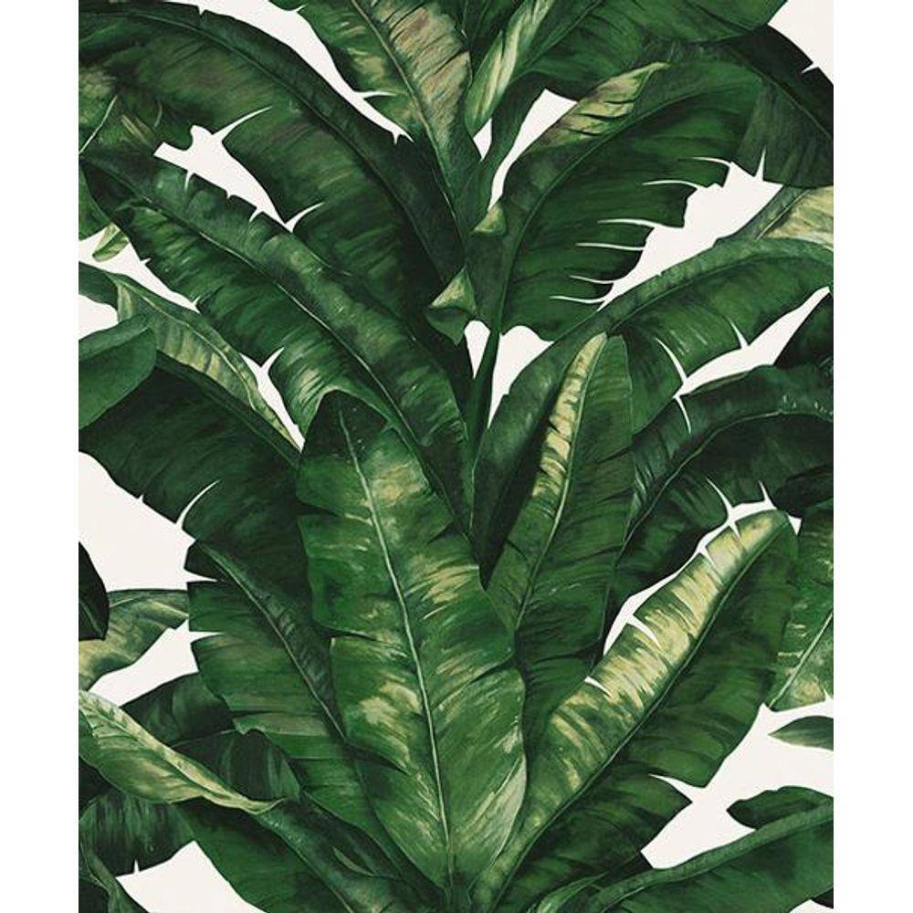 Papel De Parede Importado Unique 5049 Rolo Com 10 X 0,53Mts.