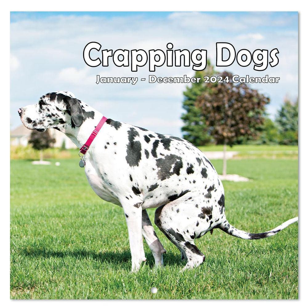 Calendário de parede Journaltastic 2024 Pooping Dogs 12x24cm