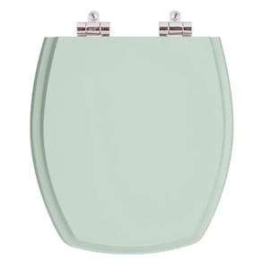 Assento Sanitario Poliester com Amortecedor Thema Verde Agua para Vaso Incepa