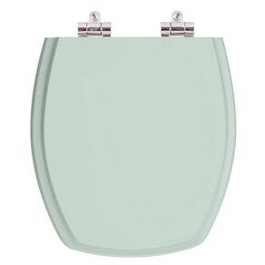 Assento Sanitario Poliester com Amortecedor Thema Verde Agua para Vaso Incepa