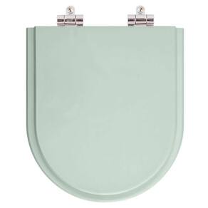 Assento Sanitario Poliester com Amortecedor Riviera Agua Marinha (Verde Agua) para Vaso Celite