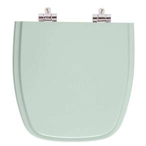Assento Sanitario Poliester com Amortecedor Versato Agua Marinha (Verde Agua) para Vaso Celite