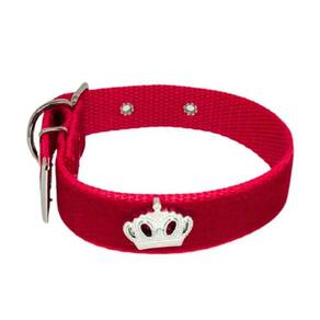 Coleira Camurça Aplique Pra Cachorro Nicapet 25Mm Cor
