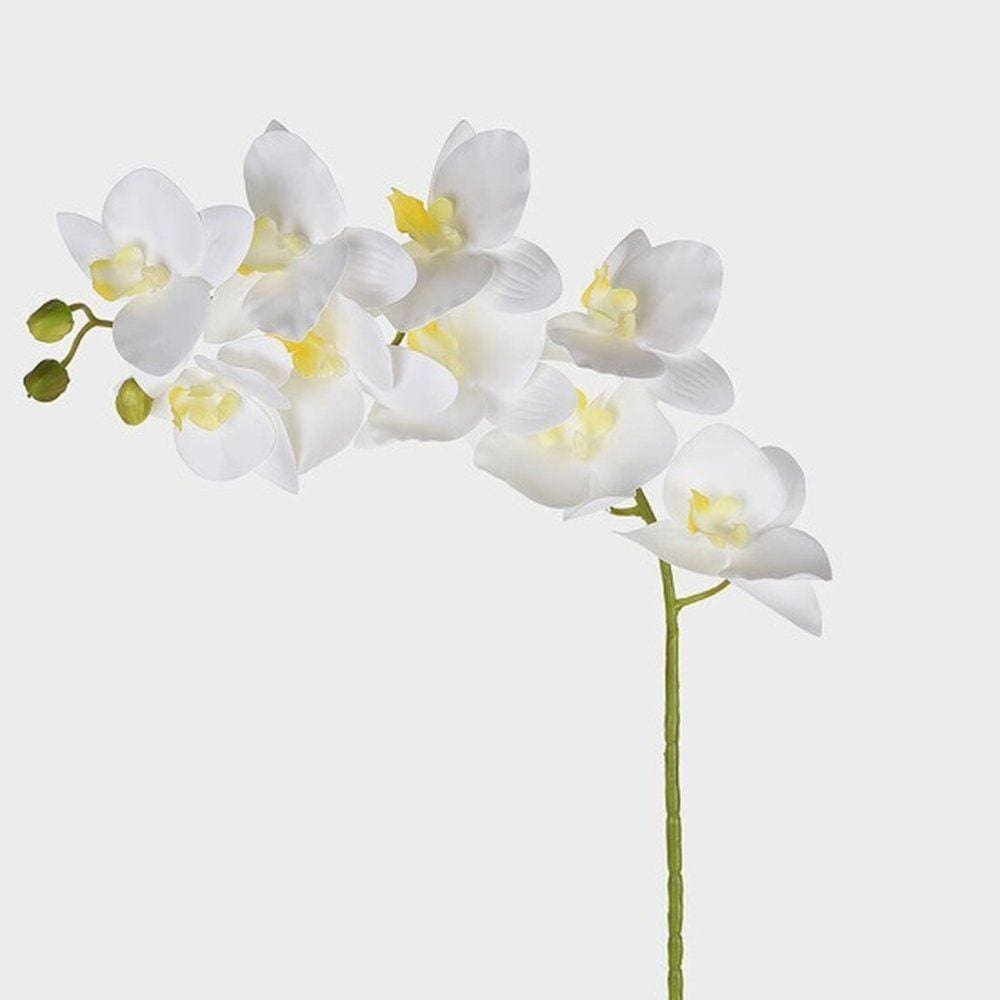 Haste Orquídea 3d X9 Branco 46401-008